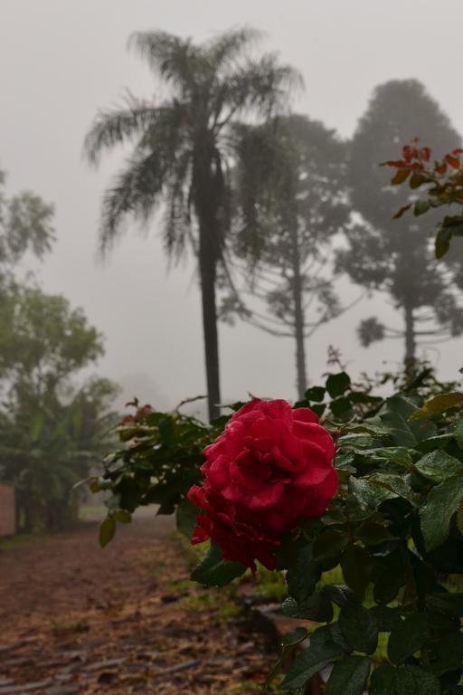 Pousada Guata Pora Foz do Iguaçu Exterior foto