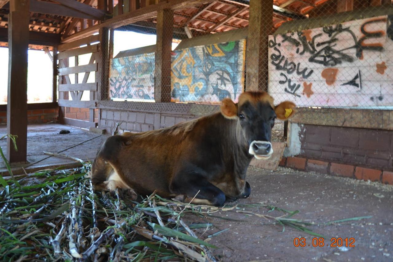 Pousada Guata Pora Foz do Iguaçu Exterior foto